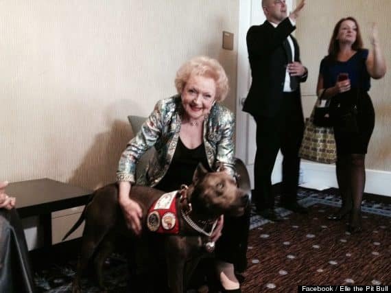 Betty White and Elle at 2013 AHA Hero Dog Awards