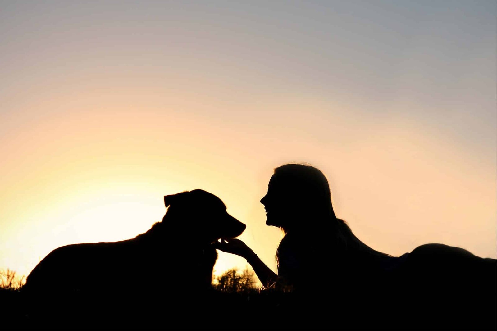 When a grandchild losses a furry friend