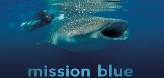 Blue - Ocean Film Festival & Conservation Summit