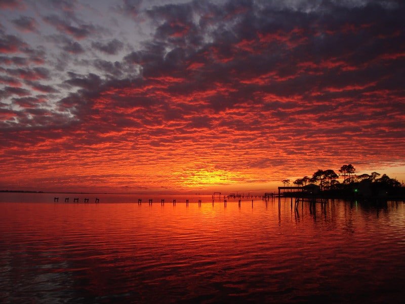 Gulf Coast