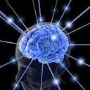 spark new brain cells