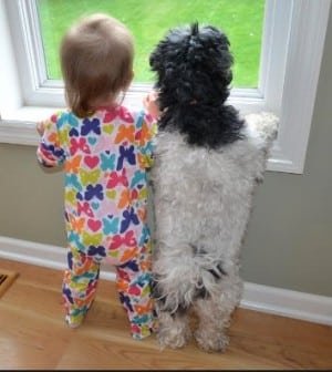 child safety