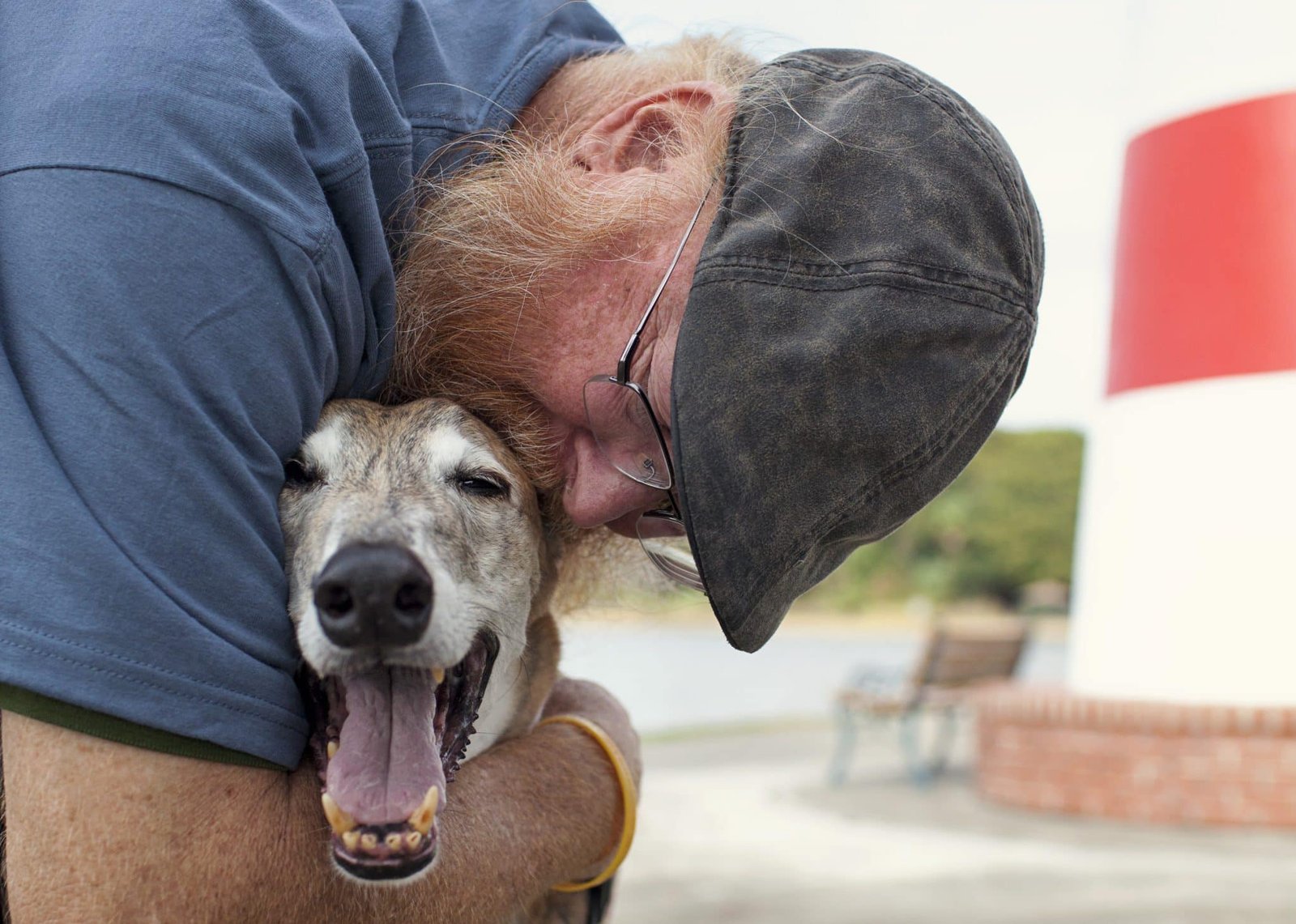 American Humane