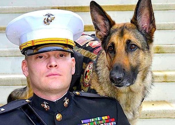 veterans