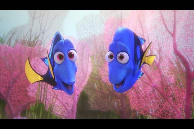 Dori