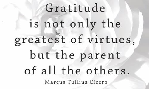 gratitude