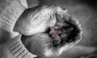 Grandma’s Hands – A Story for All Generations