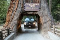 Ways To Make That Family Road Trip Even More Fun