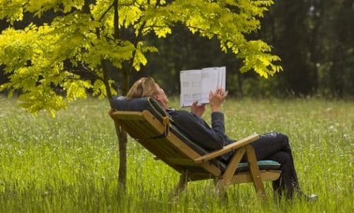 Woman Reading Book Under Tree