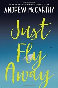 Just Fly Away cover