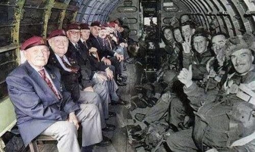 veteran