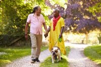 Important Financial Tips for Seniors