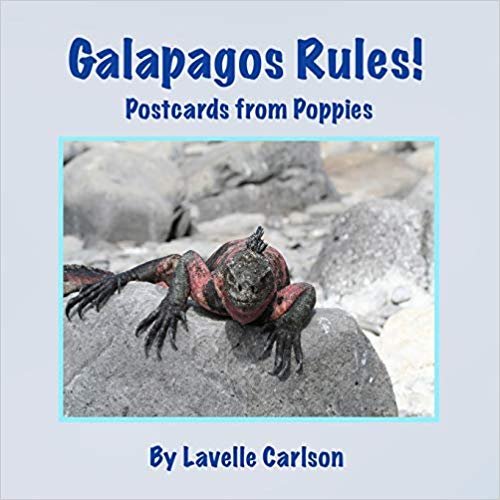 Galapagos Rules! cover