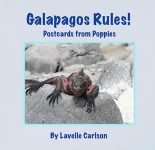 How To Have Fun In The Car With Grandkids