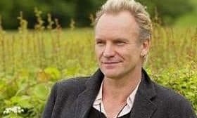 Sting