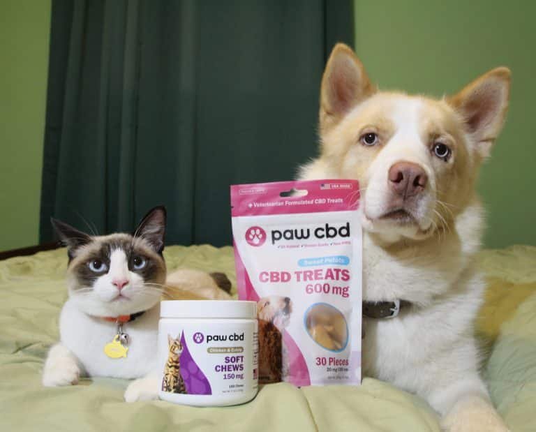PETS