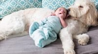 Can Popular Baby Names Make Best Dog Names?