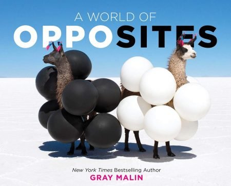 A World of Opposites cover