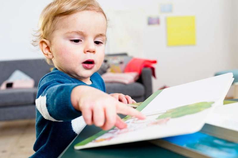 toddler reading board book