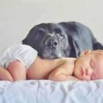 Most Popular Baby Names of 2020