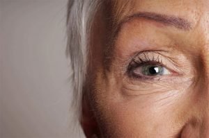 eye