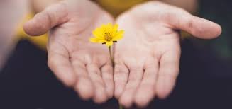 GRATITUDE