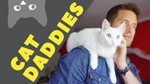 cat daddies