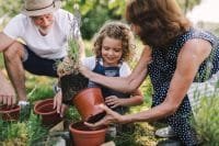 Grand Connections – Sign Up For FREE Grandparent Workshop
