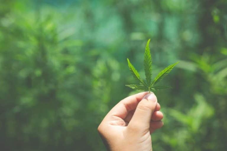 The Essentials To Buy Good Quality THC Cartridges