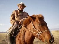 How Horse Riding Can Be Beneficial For Seniors