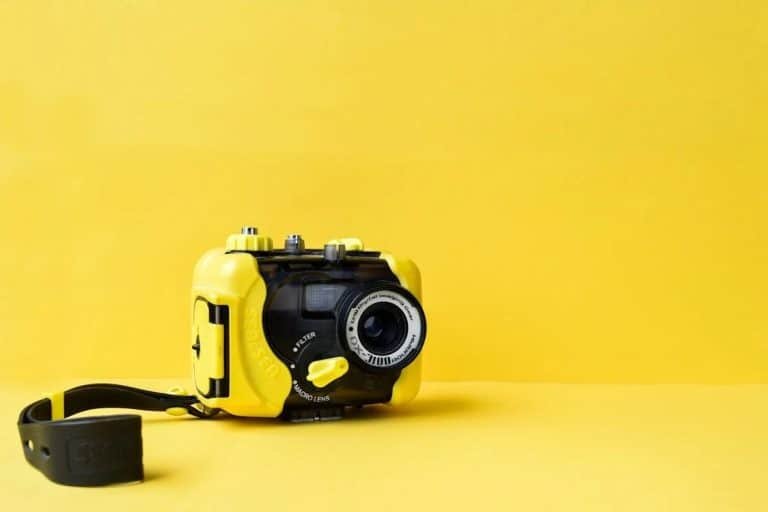 From equipment considerations to composition techniques, we'll dive deep into the essentials that will help you create stunning images beneath the waves.