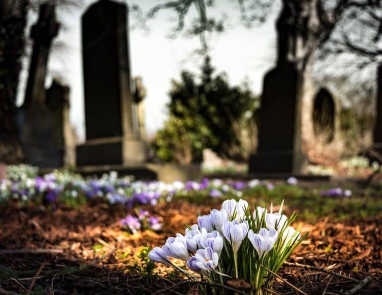 Honoring the memory of a loved one is a profound and meaningful endeavor. The process of creating lasting tributes can bring comfort and help keep cherished memories alive.