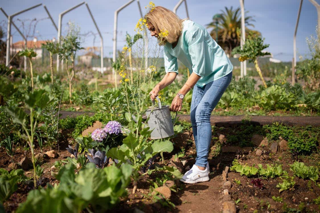 When you think about creating a garden, it's easy to focus solely on aesthetics, but there's much more to contemplate.